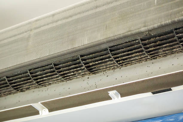 Best Ductwork Cleaning Services  in Reynoldsburg, OH